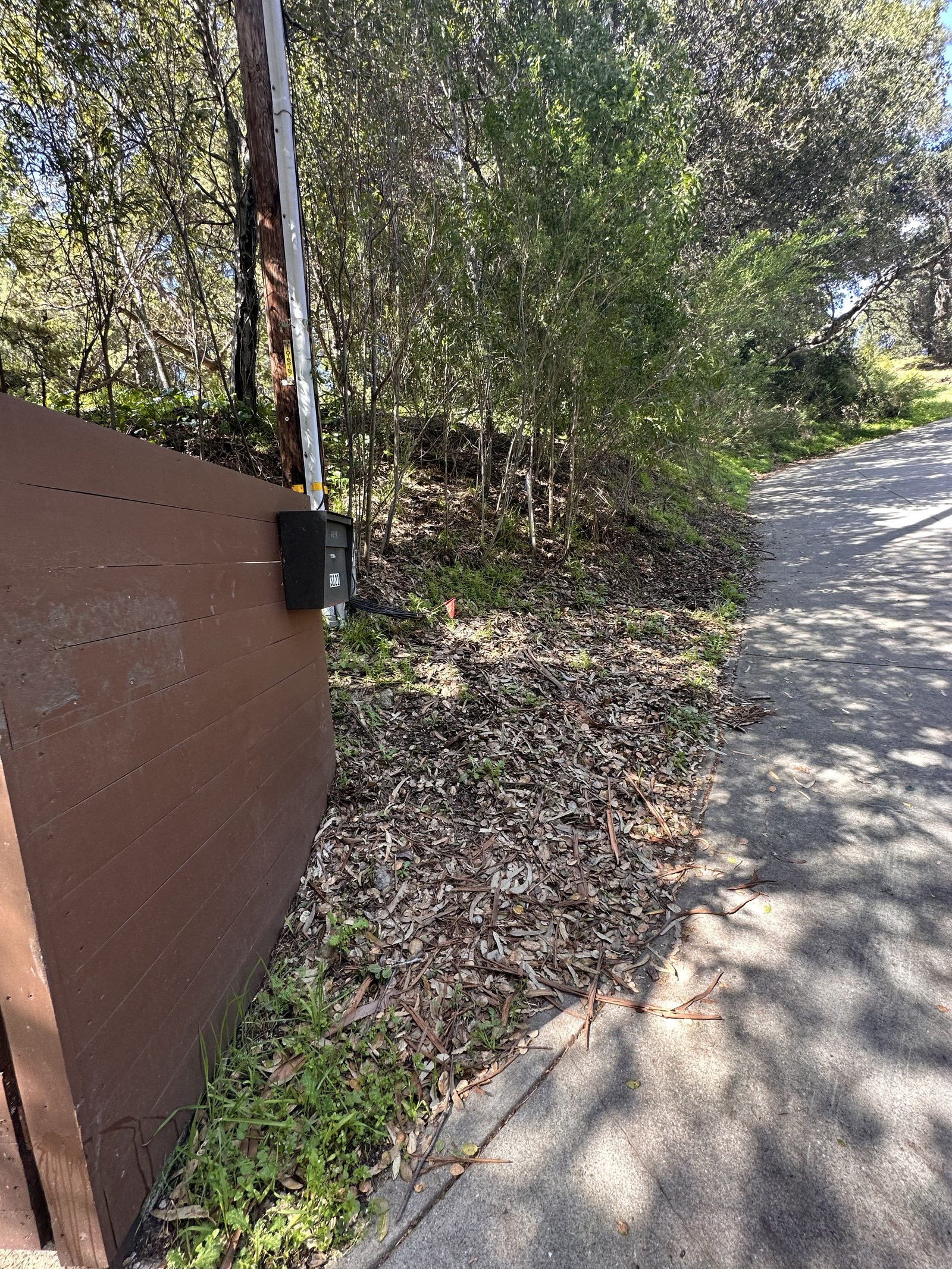 Paved driveway entrance and gate at 0 Frye Street with utility pole and mature trees